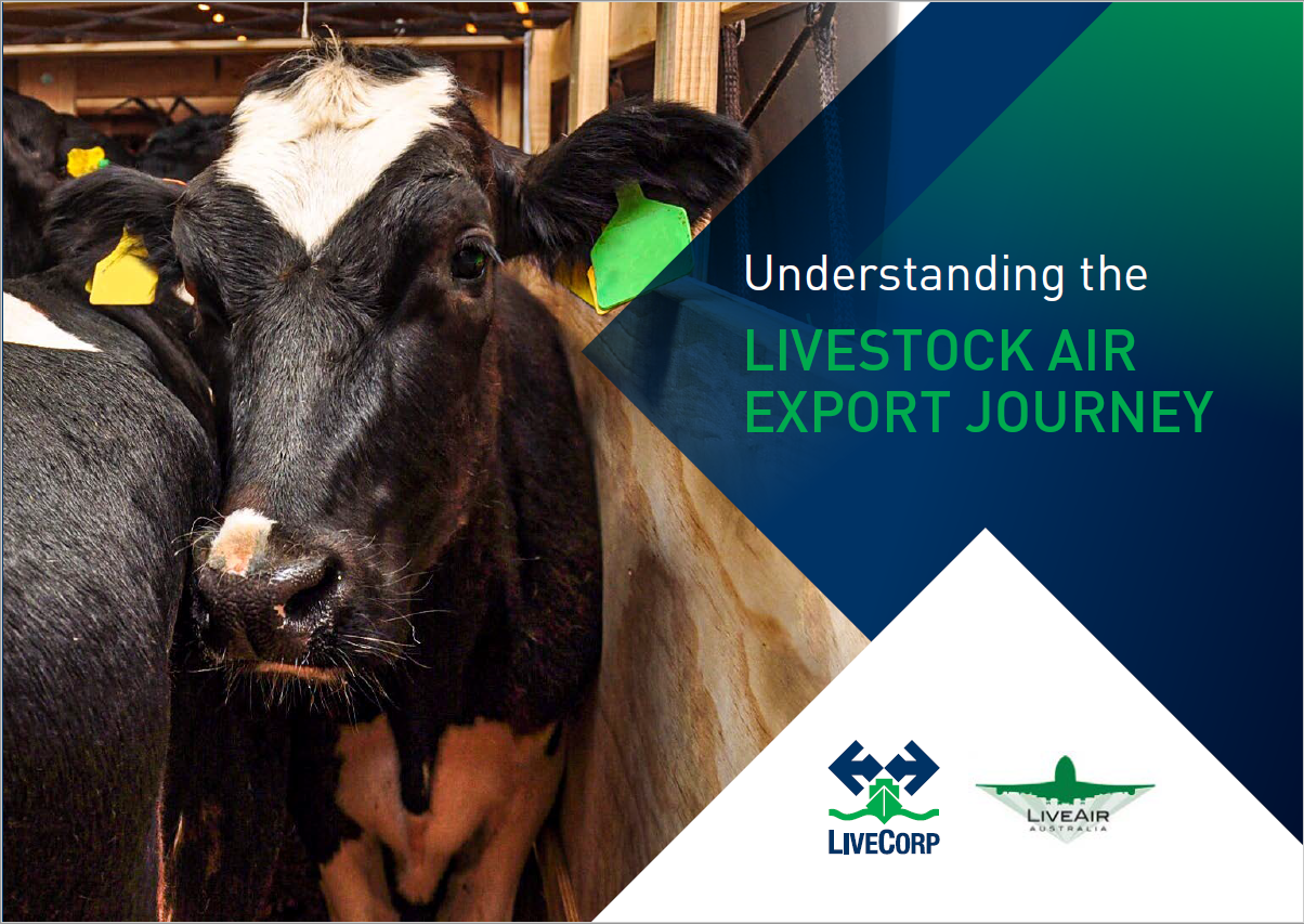 Understanding the livestock air export journey