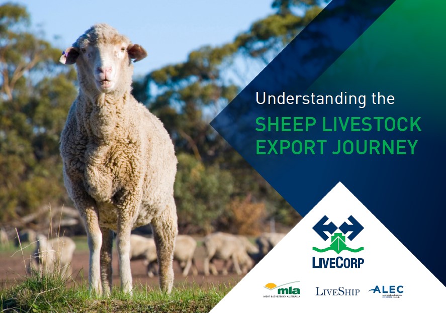 Understanding the sheep livestock export journey