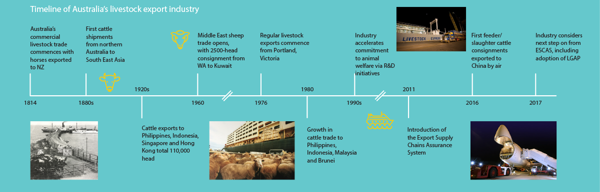 Industry history infographic