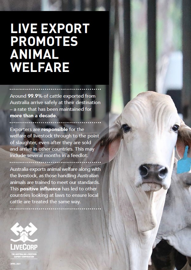 Live export promotes animal welfare